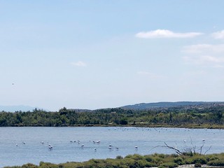 a picture relevant to this story.